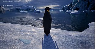 Life of a Penguin
