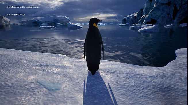 Life of a Penguin