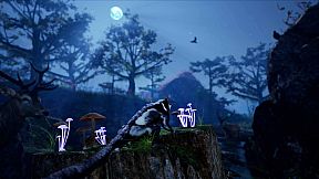 AWAY: The Survival Series