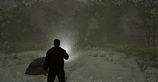 Island of the Missing