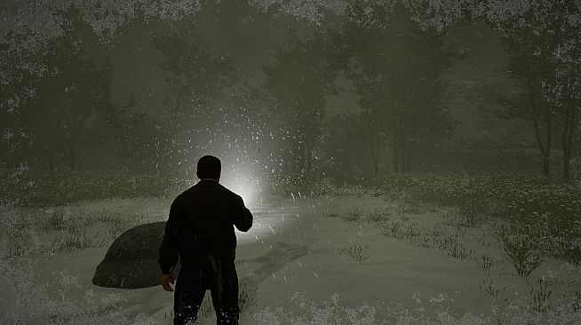 Island of the Missing