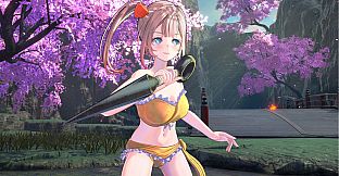 SAMURAI MAIDEN - Iyo's Costume: Victory Swimsuit 4-Color Set