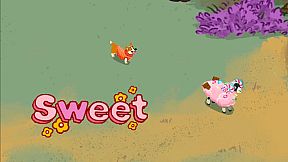 Into the Woolderness