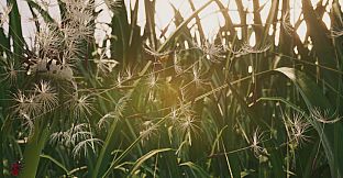 Insects: An Xbox One X Enhanced Experience