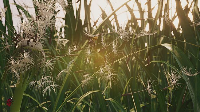 Insects: An Xbox One X Enhanced Experience