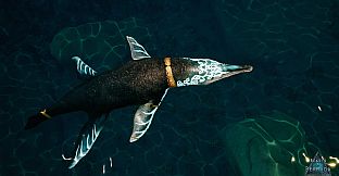 Beasts of Bermuda - Kronosaurus Supporter Warpaint