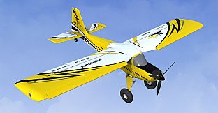 RealFlight Evolution - 2024 Year Content Pass