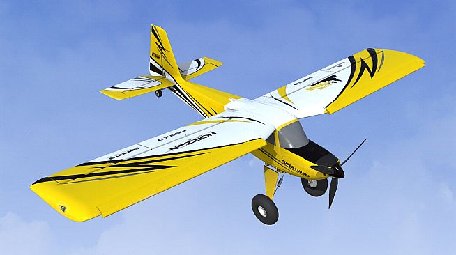 RealFlight Evolution - 2024 Year Content Pass