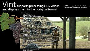 Vint: Realtime Video Interpolation and CRT Emulation