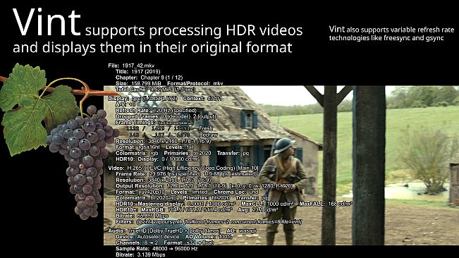 Vint: Realtime Video Interpolation and CRT Emulation