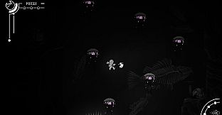 Echoes Of Night: The Exodus of the Stars