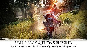 Black Desert Online - Traveler's Package