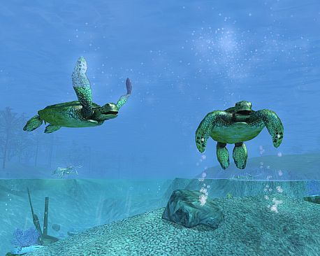 Wildlife Park 2 - Crazy Zoo