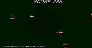Ninja Soldier Raid