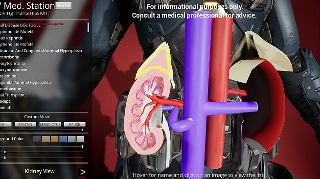 International Medical Station