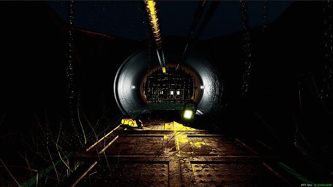 The Mirror Dimension