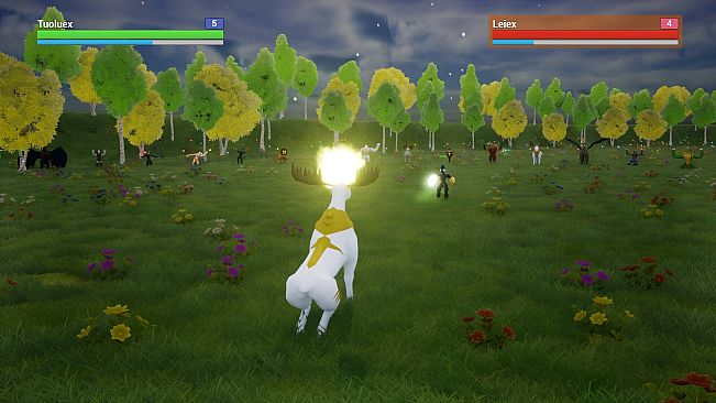 Ancings: The First Tournament