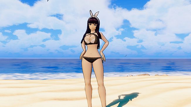FAIRY TAIL: Special Swimsuit Costume Set for 16 Playable Characters
