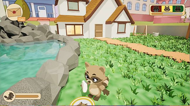Prankster Raccoon