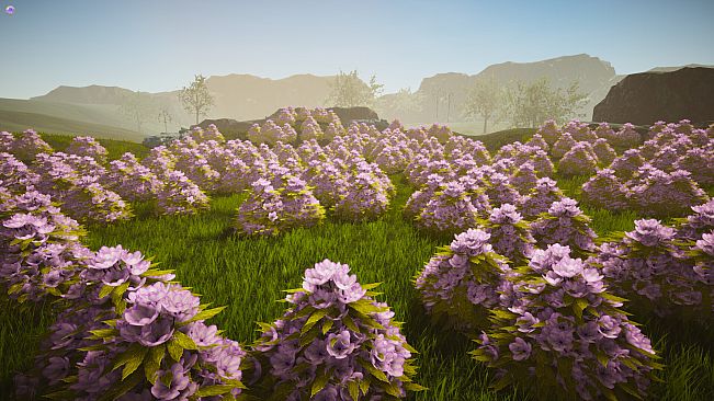 Gardener Plant Creator