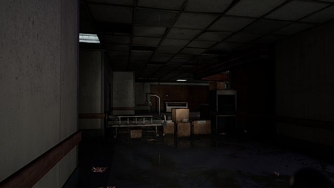 In Silent Walls : Sujet 13