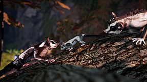 AWAY: The Survival Series