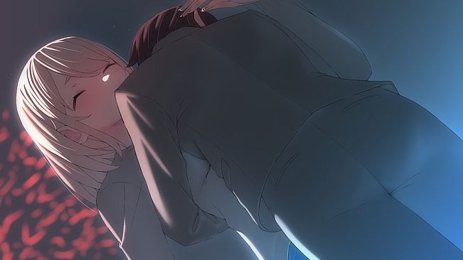 The Brave and Princess of Moonlit Night