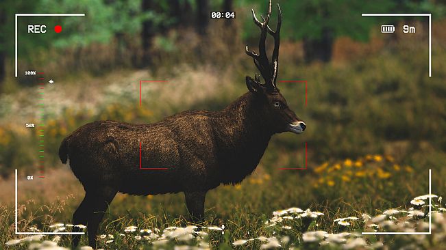 Capture The Wild