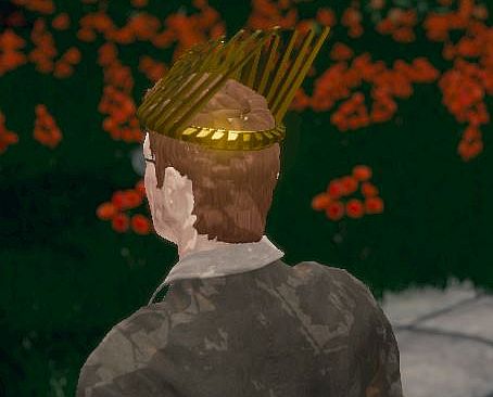 Hide and Seek - Valkyrie Helm