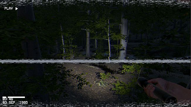 The Greys: Human Abductions