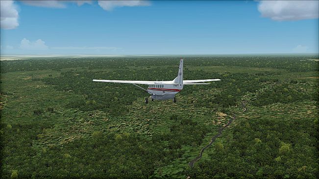 FSX Steam Edition: Toposim Central Africa Add-On