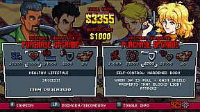 Double Dragon Gaiden: Rise of the Dragons