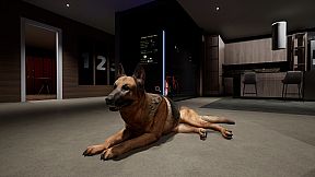 Arcade Games for Pets