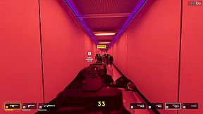 They Killed Your Cat