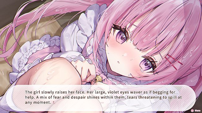 Nekomimi Days ~365 Days with You~