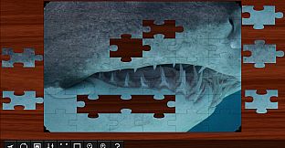 Jigsaw Puzzle World - Sharks