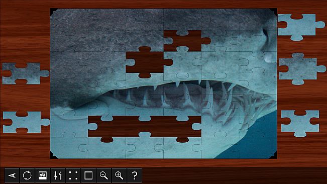 Jigsaw Puzzle World - Sharks