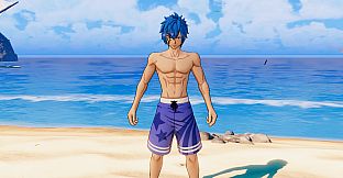 FAIRY TAIL: Special Swimsuit Costume Set for 16 Playable Characters