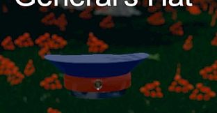 Hide and Seek - General's Hat