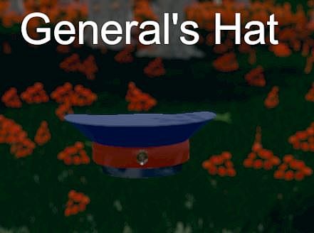 Hide and Seek - General's Hat
