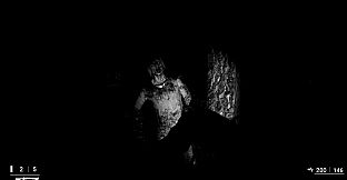 ASZG Project Director's Cut