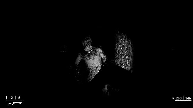 ASZG Project Director's Cut