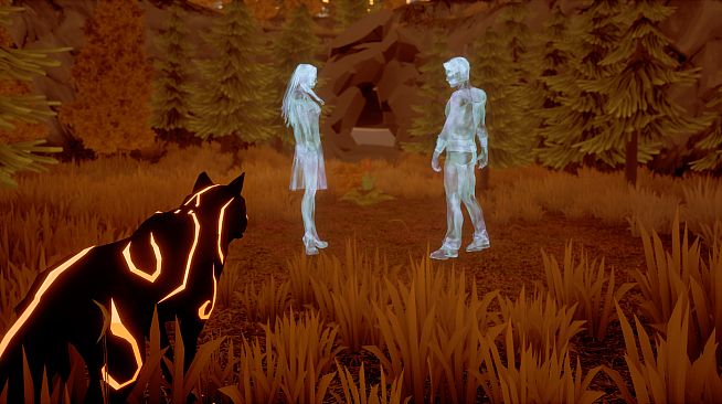 Paws and Soul: First Step