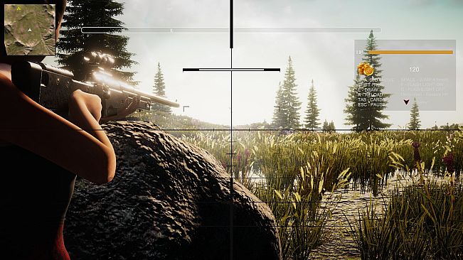 Treasure of Cutuma 3rd