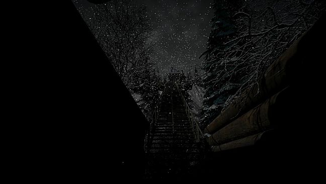 My Grandparents' Christmas Mystery