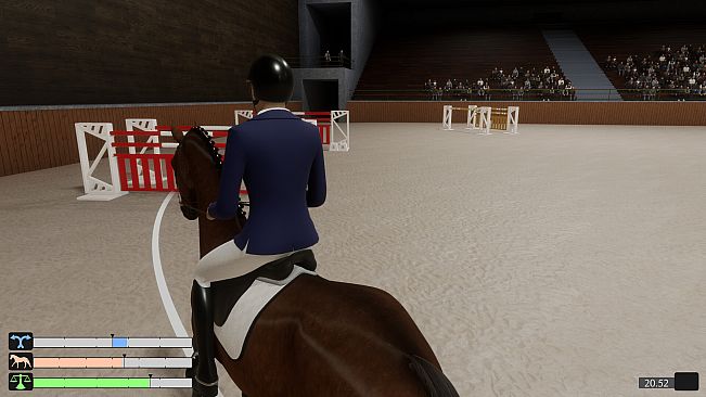 Pro Show Jumping