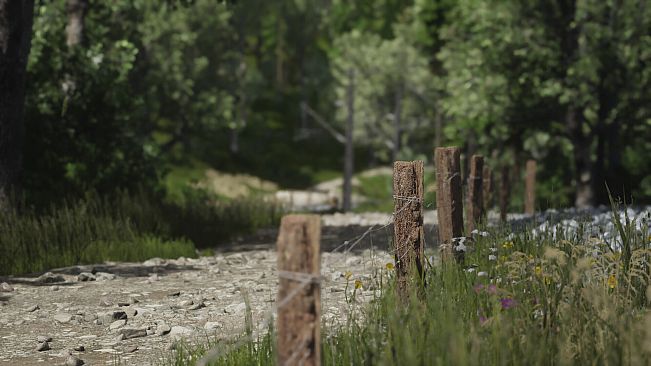 Lushfoil Photography Sim