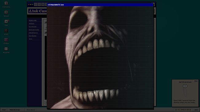 Link Cameras