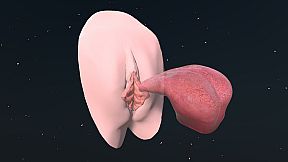 CUNNILINGUS: use your tongue!