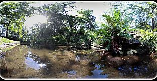 Exhale XR - Soul Shine